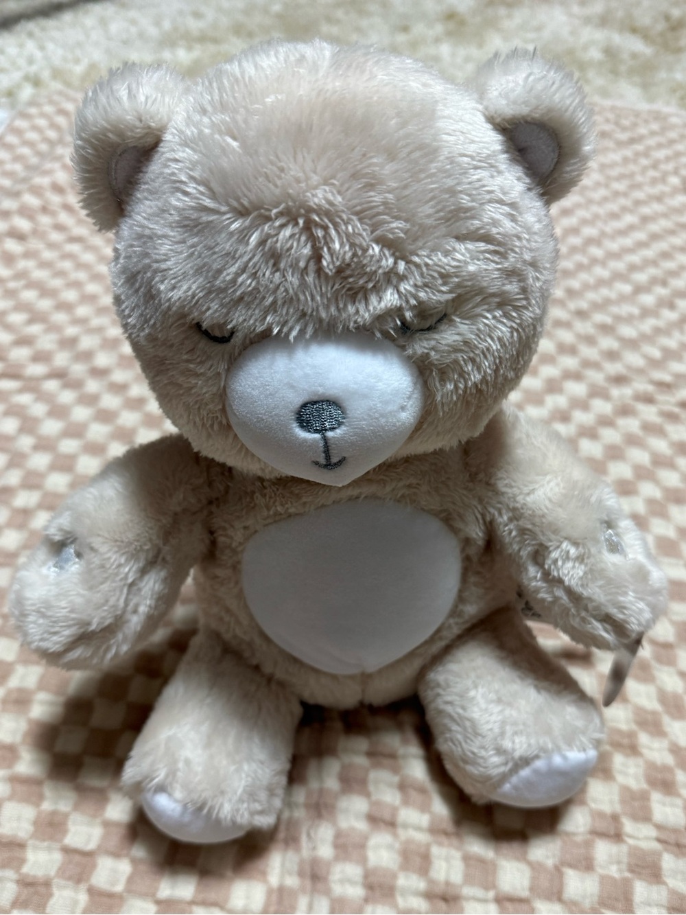Stuffed Bear